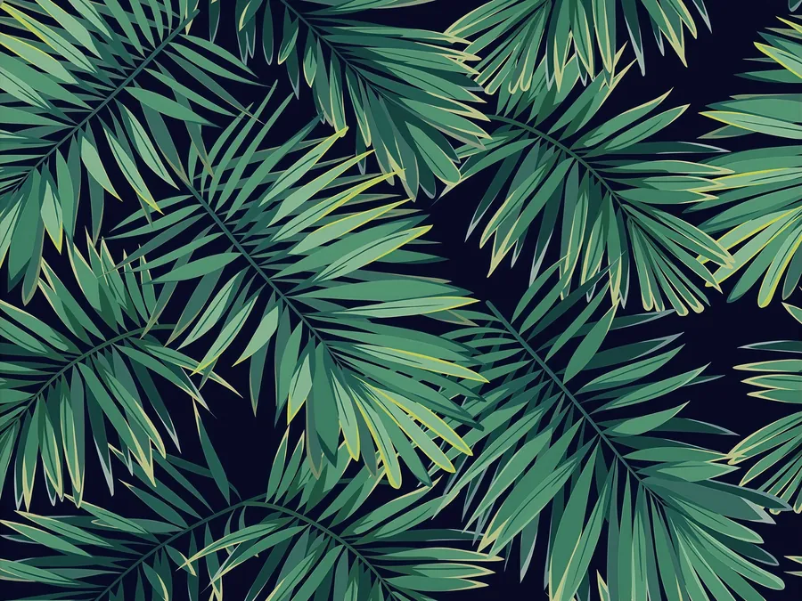 Palms photobooth backdrop